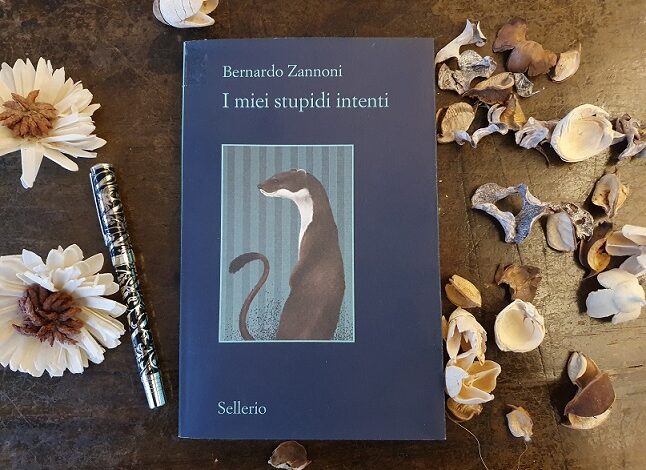 I miei stupidi intenti” di Bernardo Zannoni